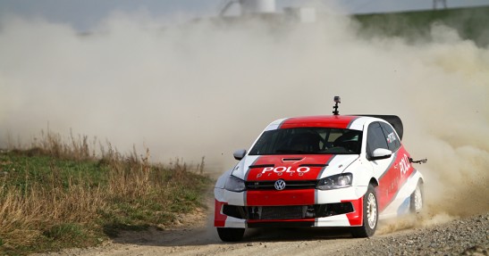 Testy Polo Proto